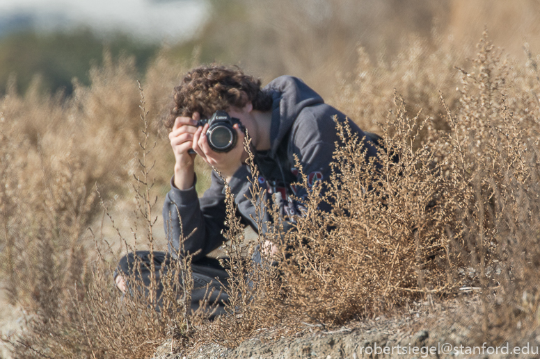 shoreline park